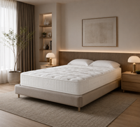 Aero Comfort Mattress