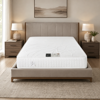 Aero Flex Mattress