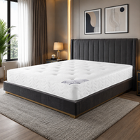 Nova Sleep Mattress